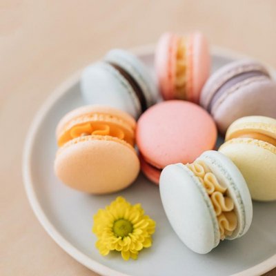 Special Spring Offer