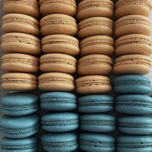 Video Lesson on Macarons on French Meringue Video Lesson on Macarons on French Meringue